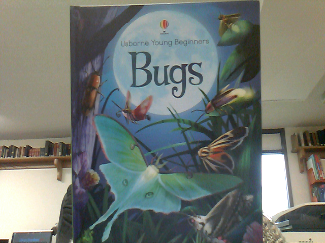 Bugs : Usborne Young Beginners